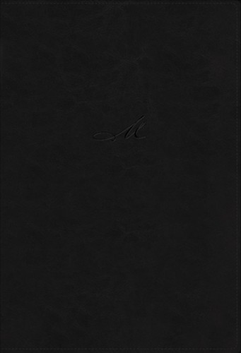 Nbla biblia estudio - de,