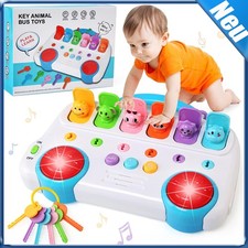 Pop up Baby Spielzeug ab 12