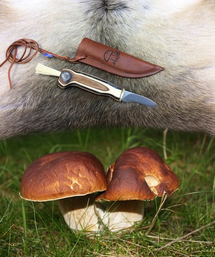 Pilzmesser finnenmesser - pilzmesser,