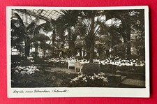 Foto AK LIEGNITZ in Schlesien