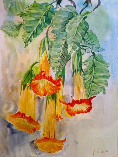 Aquarell orig engelstrompete - aquarell, "engelstrompete"