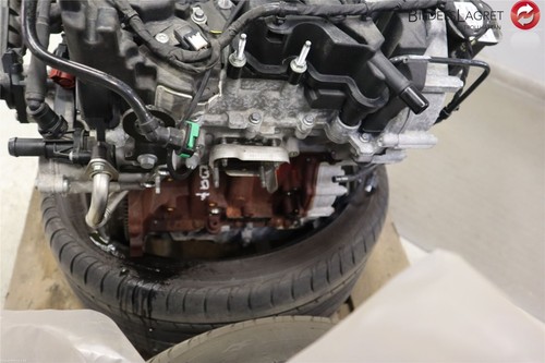 Motor benzin ford - benzin, puma