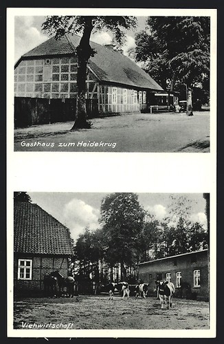 Ansichtskarte munsterlager - ansichtskarte,