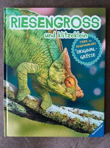 Kinder buch riesengroß - kinder, und