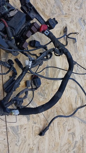 Hauptkabelstrang ktm duke 125 - hauptkabelstrang,