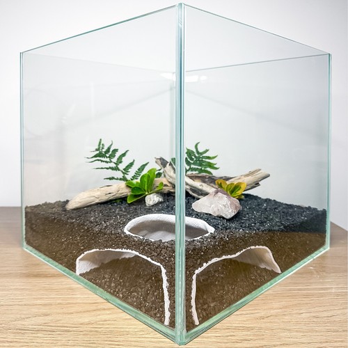 Pleco höhle aquarium - pleco,