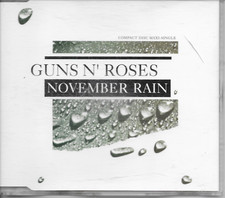 Guns roses november - guns, rain