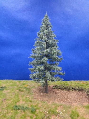Modellbaum blautanne ca - modellbaum-,