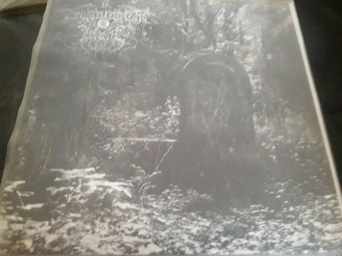 Drowning the light dead - the,