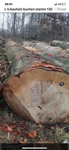 Buchenstamm holz 130 10 - 4.10, m