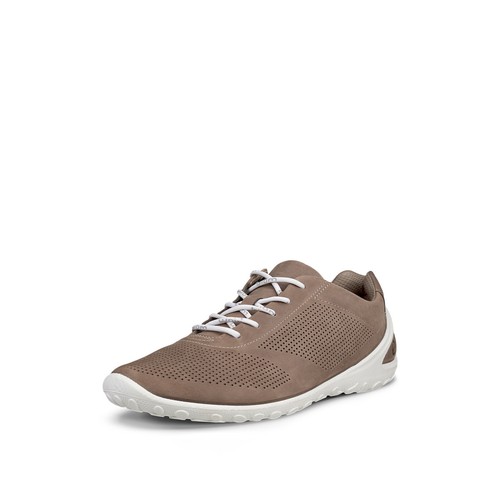 Ecco sneaker biom lite - lite, m