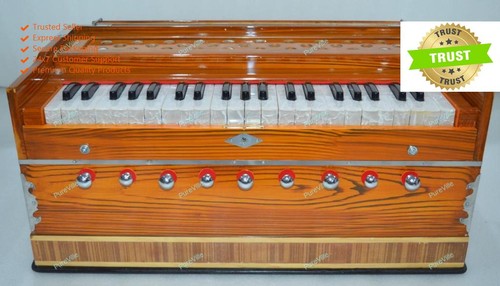 Harmonium professionelle - harmonium,