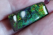 Grün -blau- gelber Drachenschuppen Ammolit     (G60)