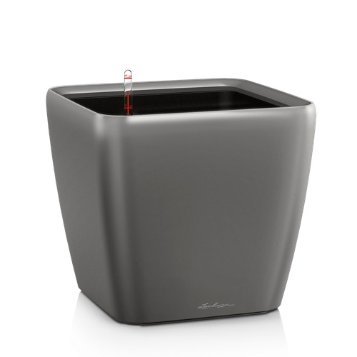 Lechuza quadro premium 35 - premium,