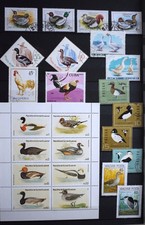 Motiv Enten, Gänse, Hühner etc., schönes Lot aus versch. Ländern, s. Fotos