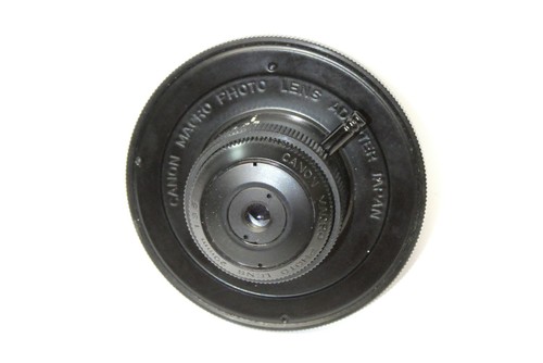 Canon macro photo - macro, /