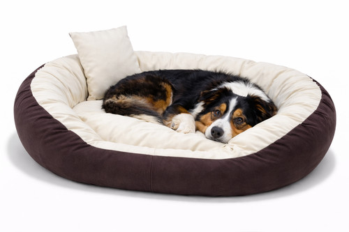 Hundebett hundekissen - hundebett,
