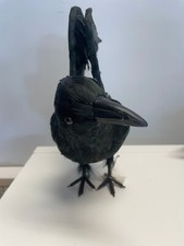 Gruselig Halloween   Schwarz