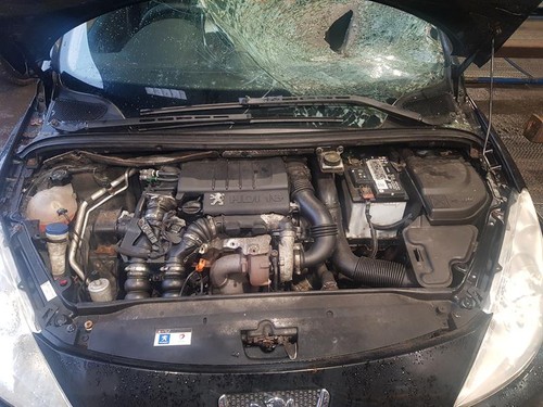 2008 mk1 peugeot 307 - 01-2008,