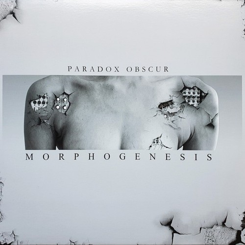 Paradox obscur morphogenesis - paradox, obscur-morphogenesis