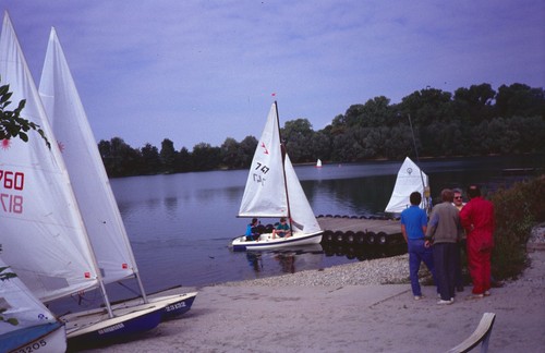 Segeljolle flying bee - bee, sport–