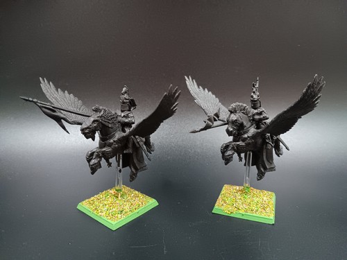 Pegasus knights bretonen - pegasus,