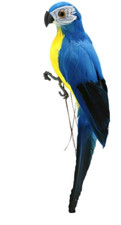 Papagei mit echten Federn 25