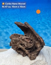 ‼️Corbo Root Nano⭐️