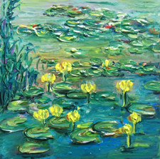 Water Lilies in a Pond