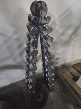 Gym80 Dumbells on a rack