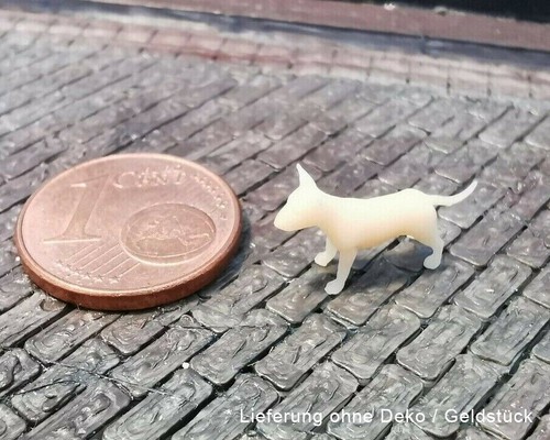 Bullterrier pittbull hund - pittbull, dog