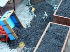 Juweela 28129 28131 Kohle