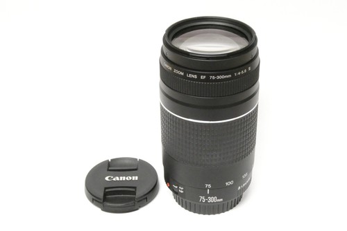 Canon 300 mm iii - canon,