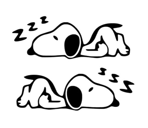 Aufkleber snoopy - 2x,