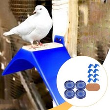 Taubenzubehör set leicht und - taubenzubehör-set,,