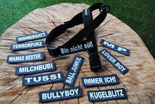 Bullyzei Norwegergeschirr