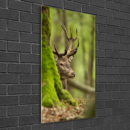 Wand bild kunstdruck - kunstdruck, aus