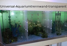 Aquarium-Universal-Trennwand