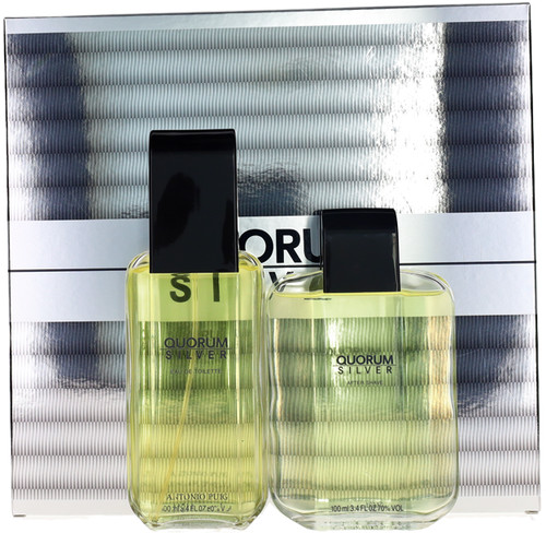Silver quorum for men set - silver,