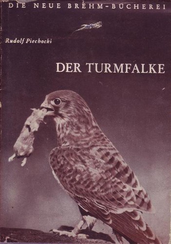 Der turmfalke - der,