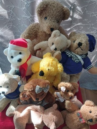 Sammlung teddybären 10st - sammlung,