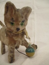 A927	Ältere Katze mit