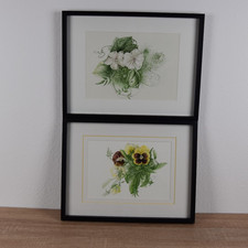 2x Botanische Aquarelle 1997