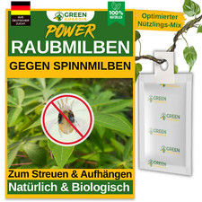 Raubmilben gegen Spinnmilben, 1 bis 25 Tüten Nützlinge, Green Guardia®