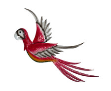 Papagei Wanddeko Wandbild