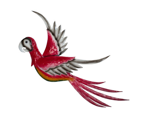 Papagei wanddeko wandbild - papagei,