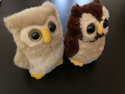 Harry potter eulen - harry,