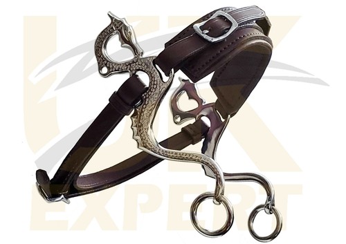 Neu expert polnischer - expert,