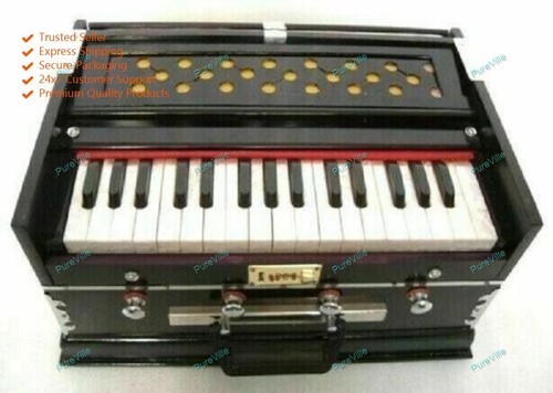Indisches musikinstrument - indisches,