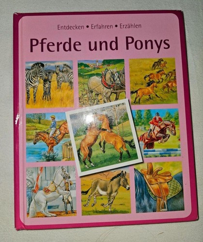 Kinderbuch pferde und ponys - kinderbuch,